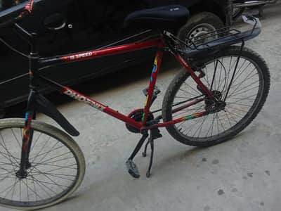 phoenix cycle