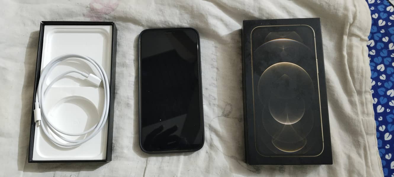 Apple iPhone 12 Pro Max 1