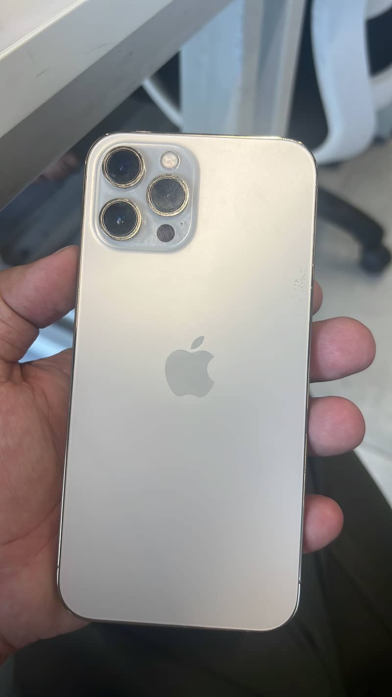 Apple iPhone 12 Pro Max 1