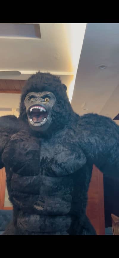 Gorilla Mascot 2.6 M with battery