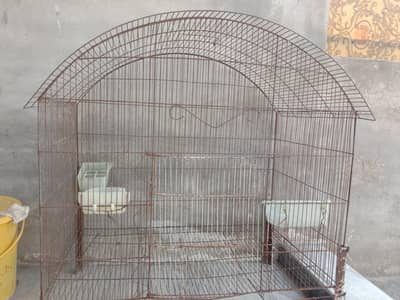 Cage for Parrot, Pigeon and Hens