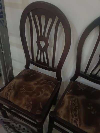 chnutti chairs