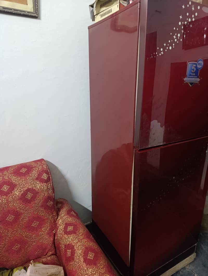 PEL fridge 1