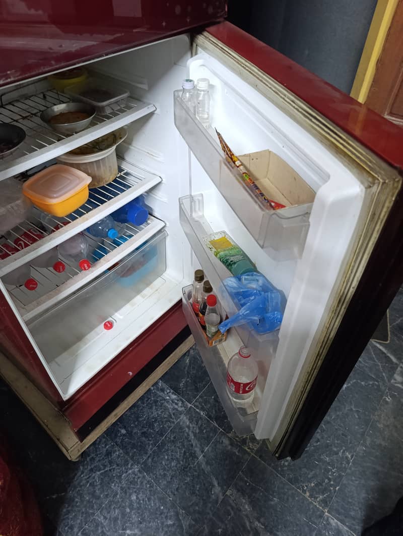PEL fridge 2