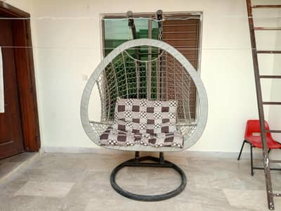 Double Egg-Shape Swing