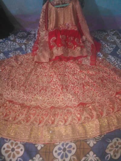 shadi jora