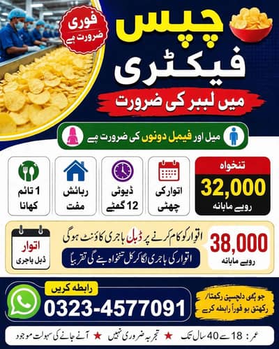 lays packing job male female urgent hiring
