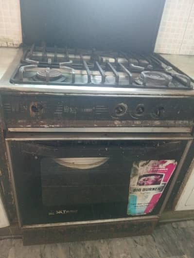 sky flame electric and gas oven