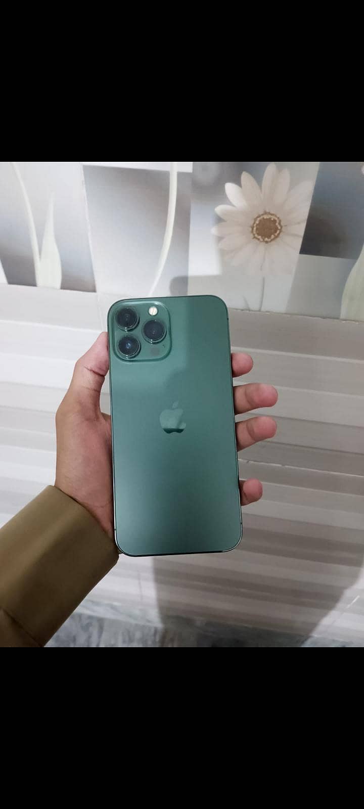 Apple iPhone 13 Pro Max 1