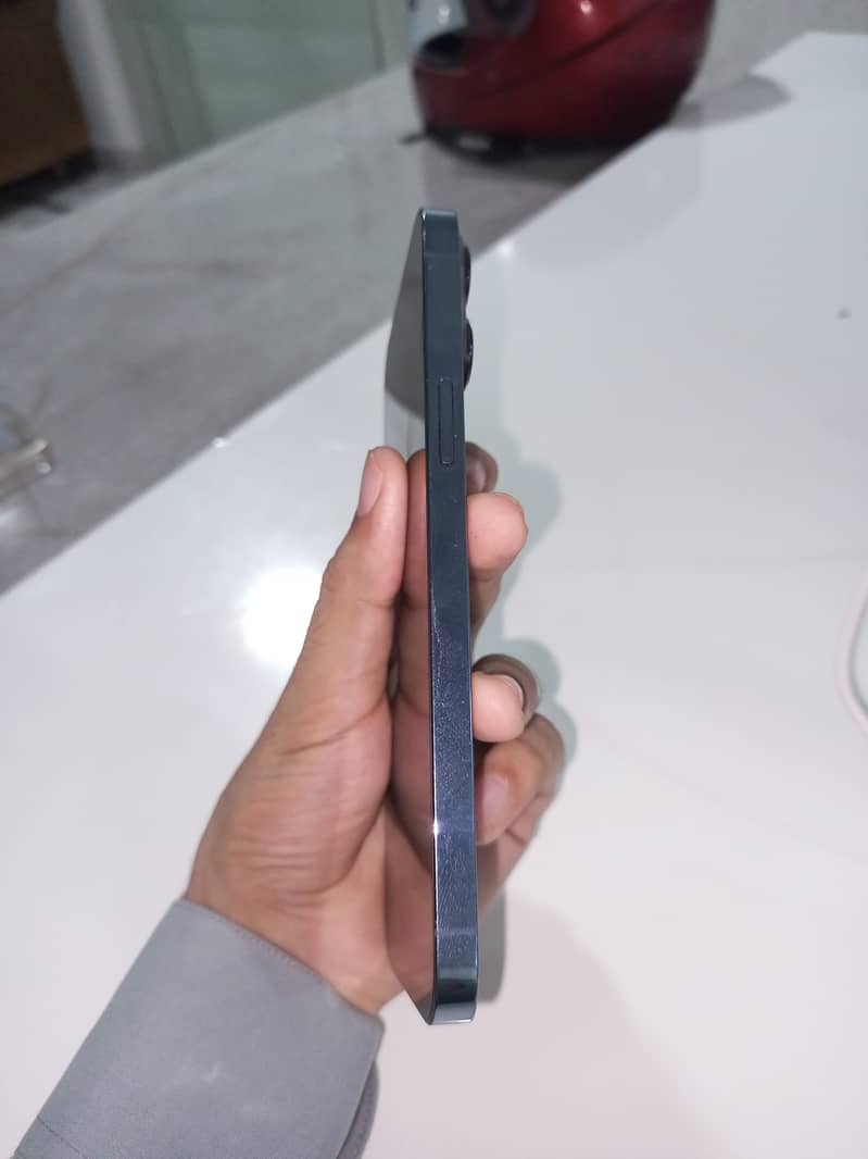 Apple iPhone 13 Pro Max 1