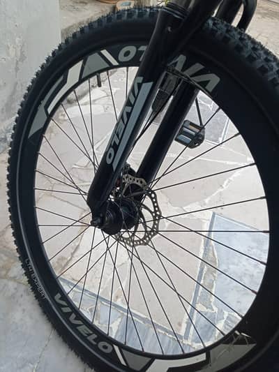vivelo