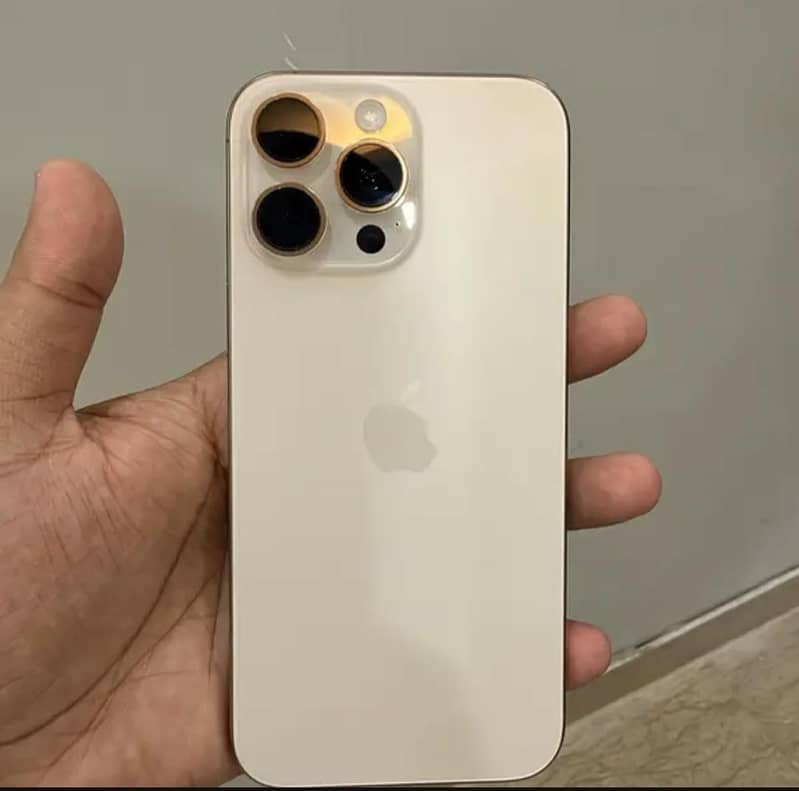 Apple iPhone 16 Pro Max 1