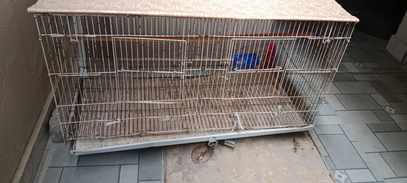 parrot cage 0
