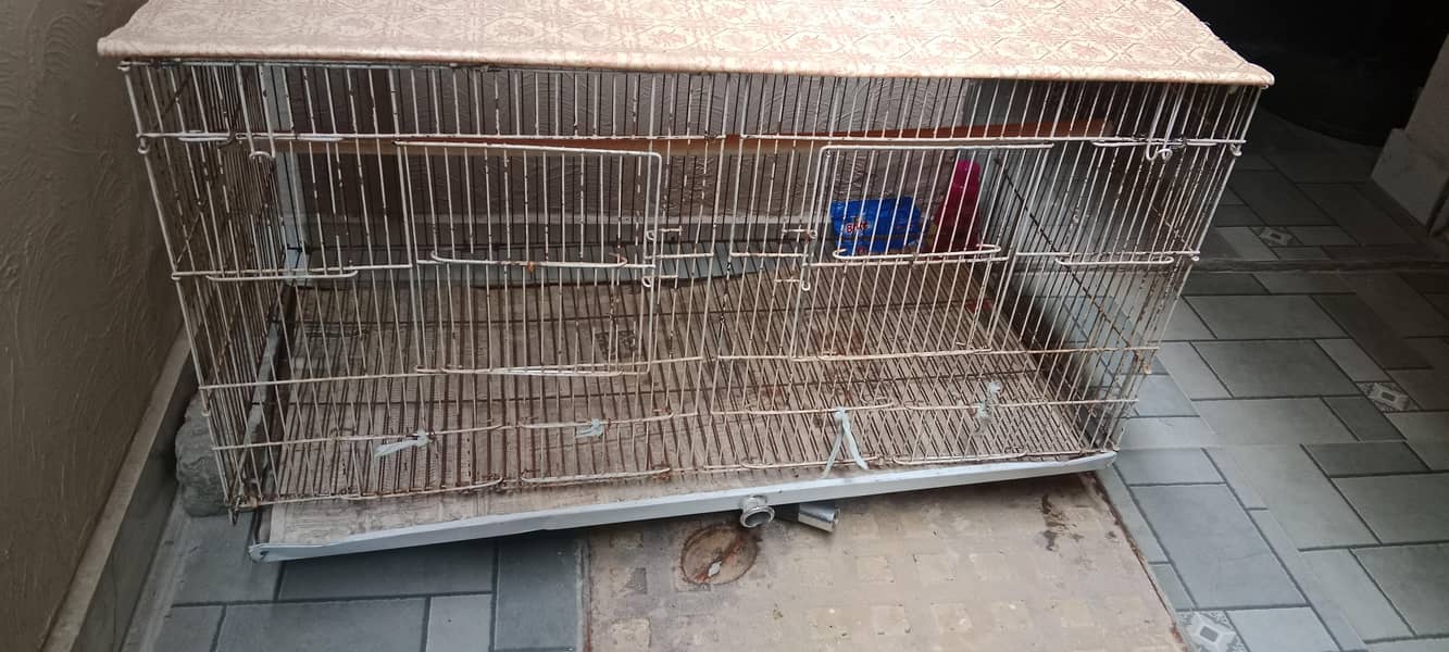 parrot cage 1
