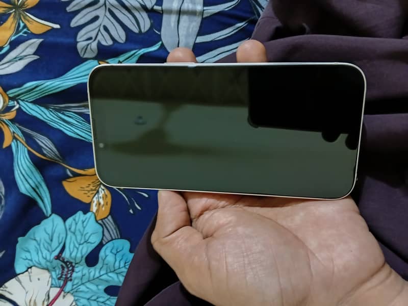 Apple iPhone 13 0