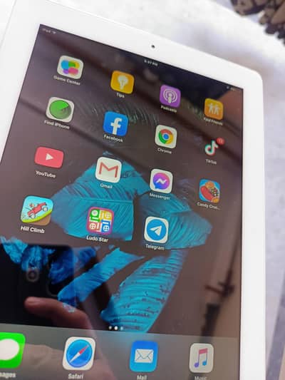 Apple iPad