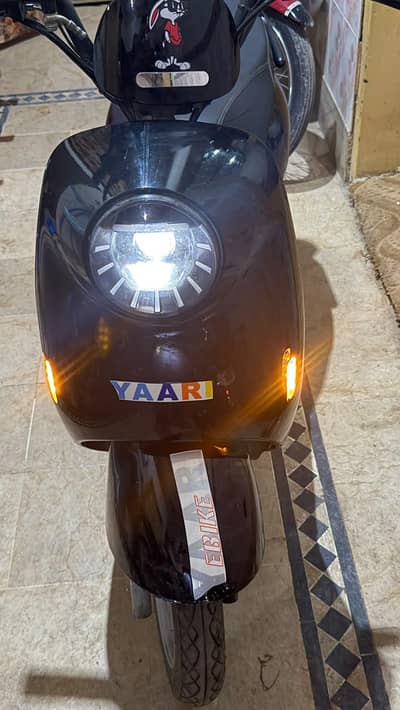 ramza yari scoti for sale