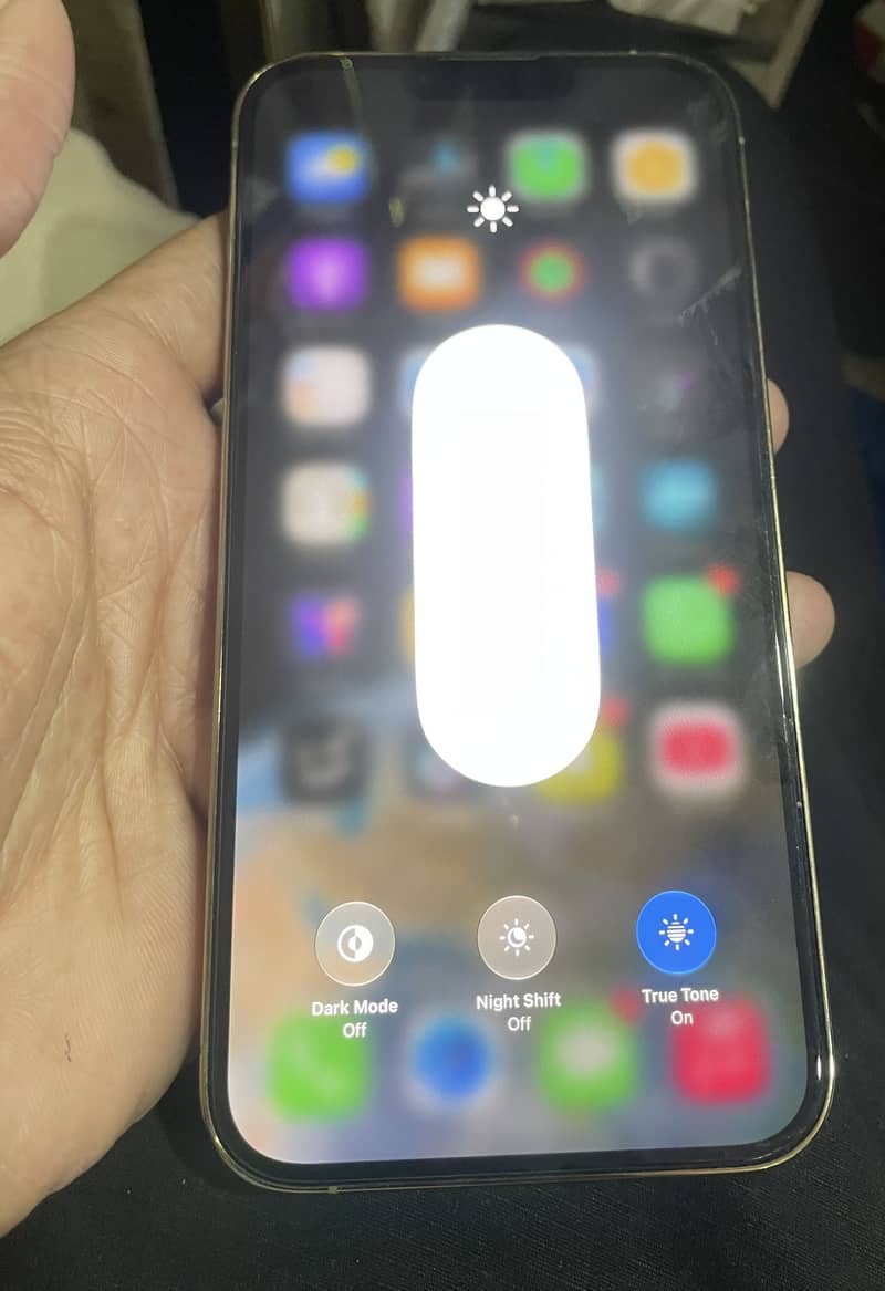 Apple iPhone 13 Pro Max 1