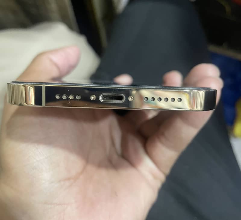 Apple iPhone 13 Pro Max 6