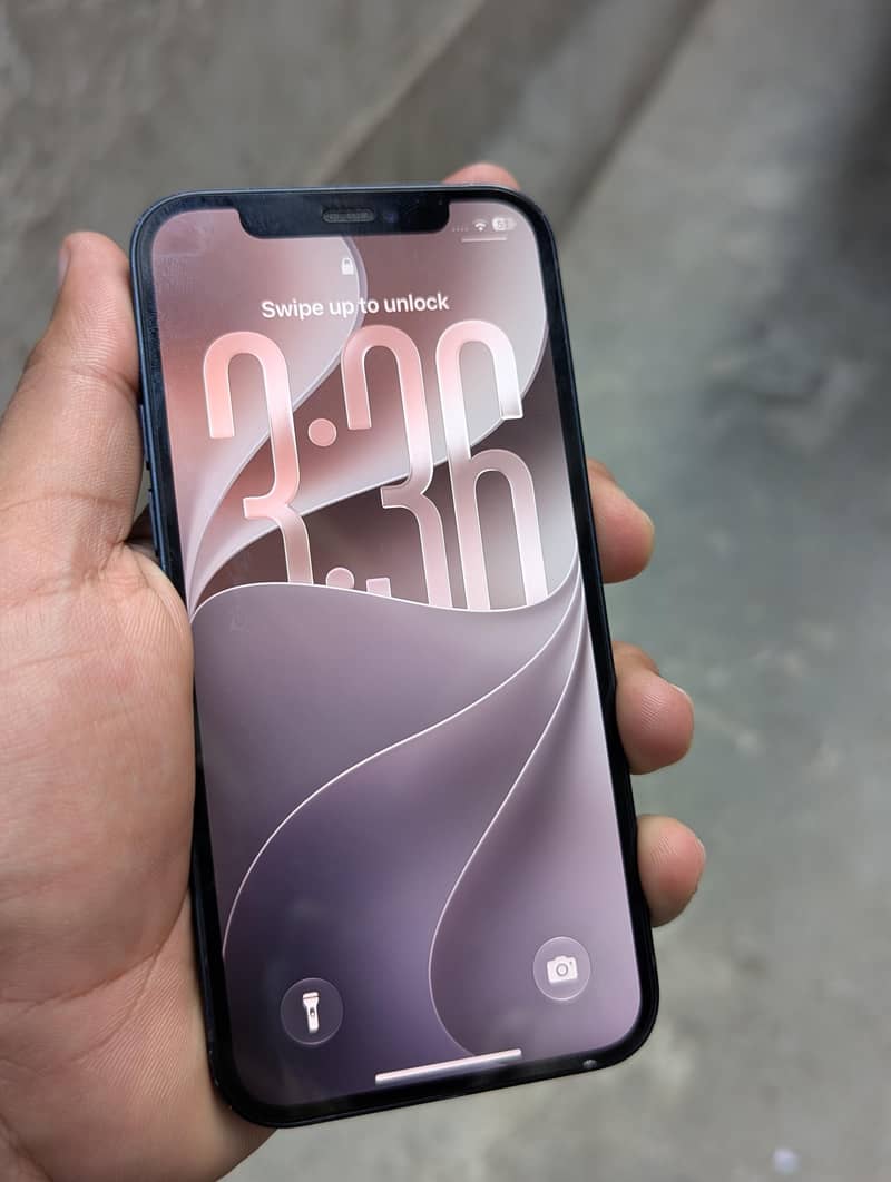 Apple iPhone 12 1