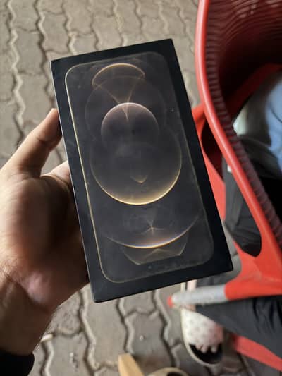 Apple iPhone 12 Pro Max