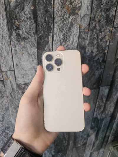 Apple iPhone 13 Pro