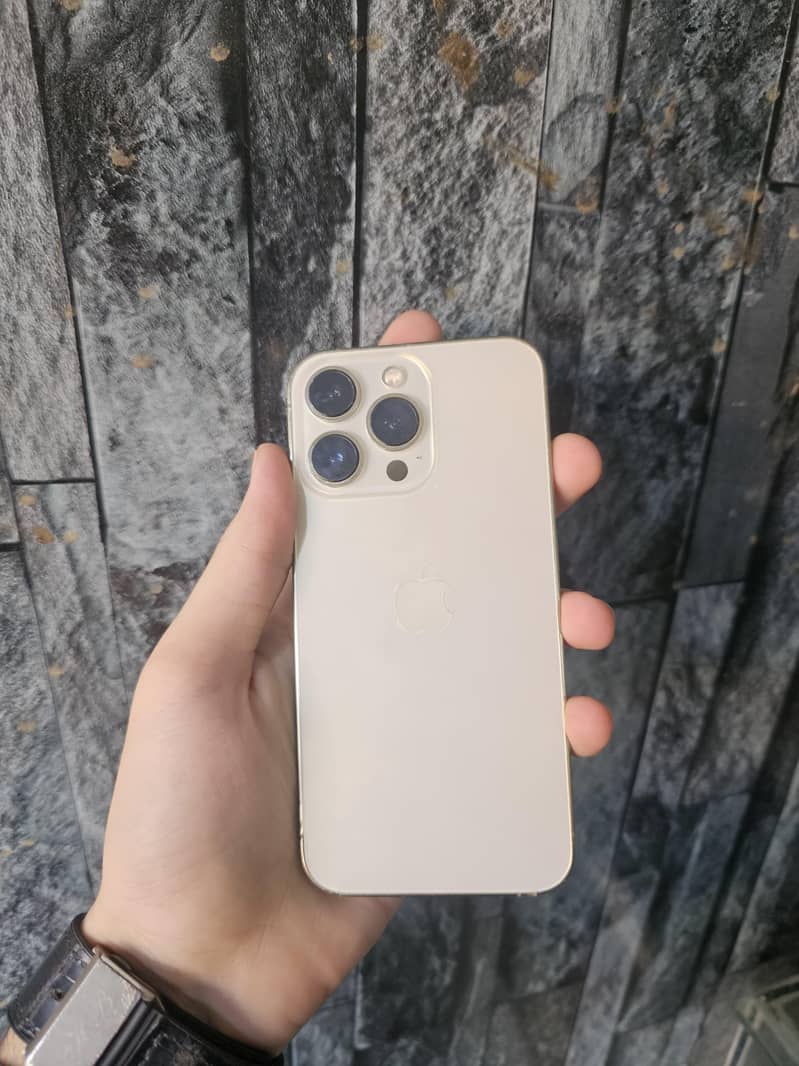 Apple iPhone 13 Pro 0