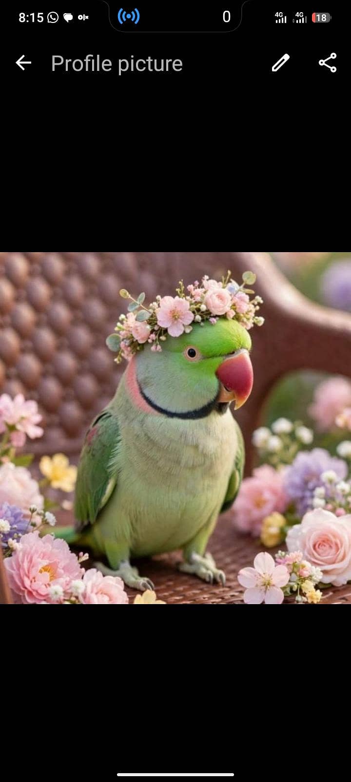 raja. 1