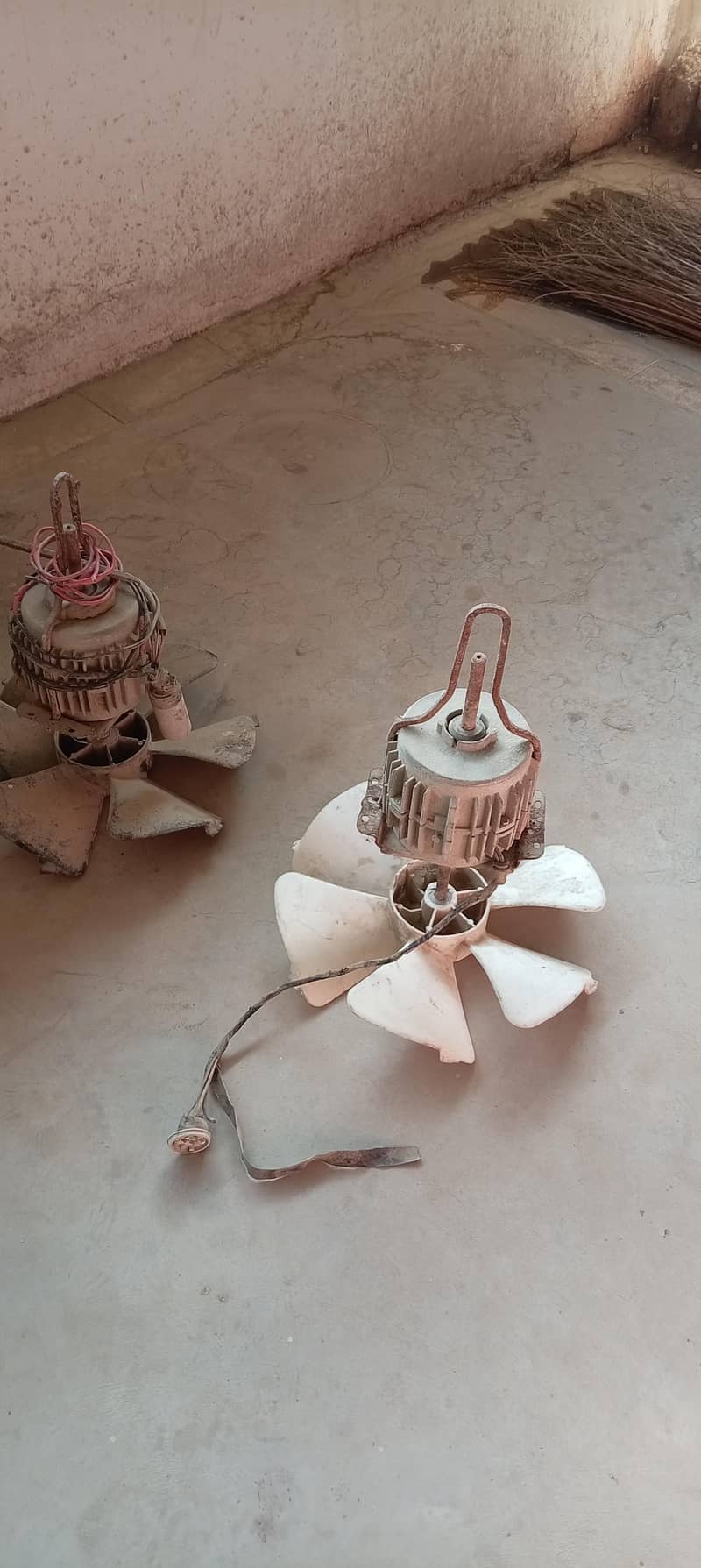 fan s - Ceiling Fans - 1121006718