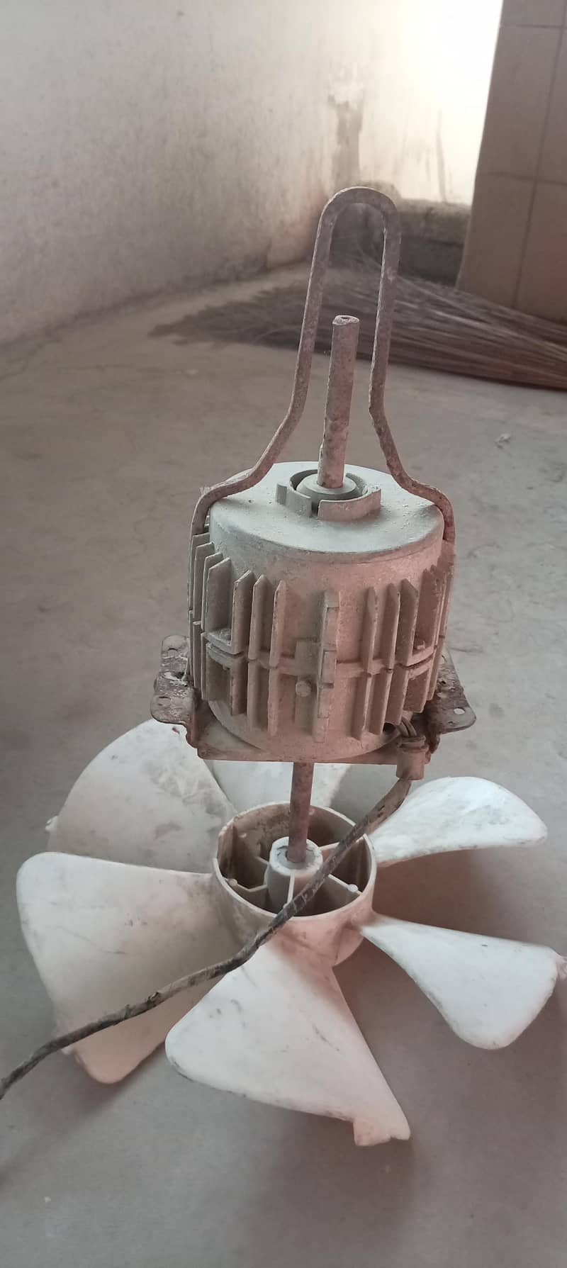fan s - Ceiling Fans - 1121006718