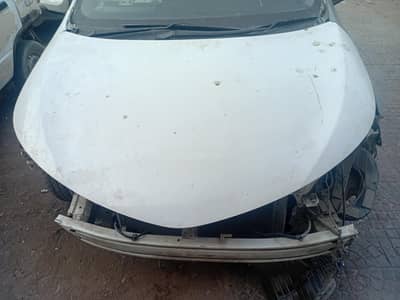 corolla 2015-26 bonet