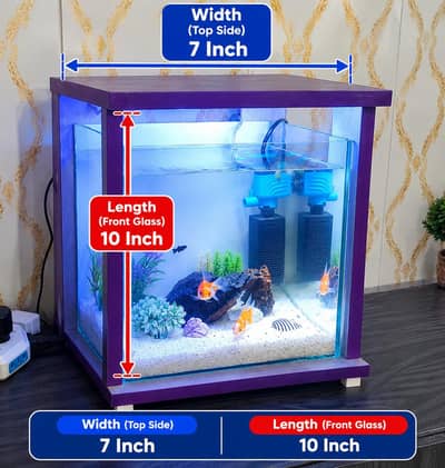 Stylish Glass Aquarium