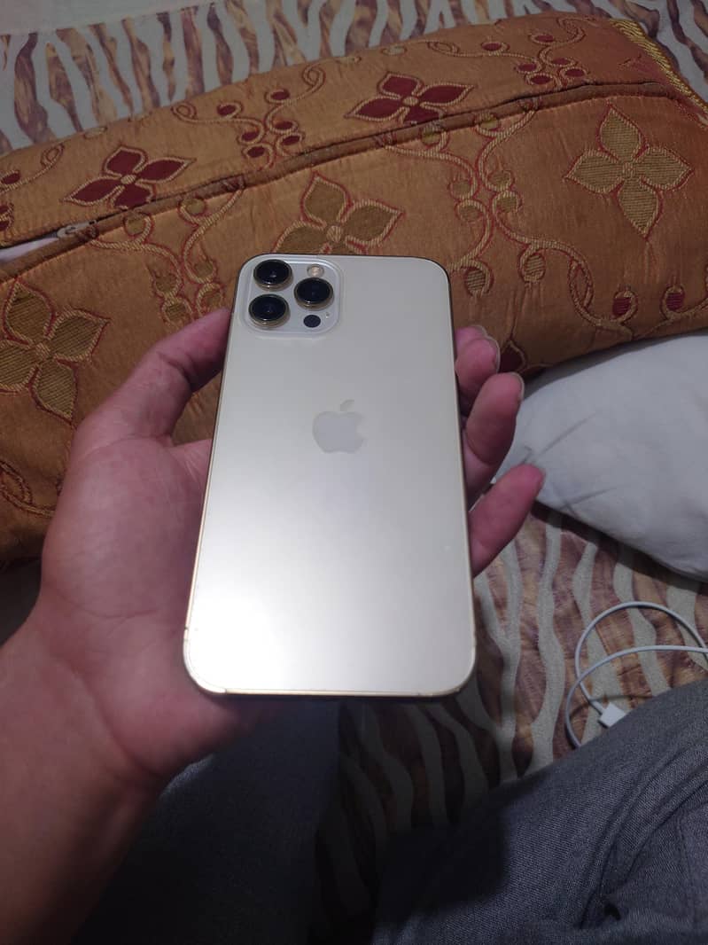iphone 12 pro max (exchange possible) 1