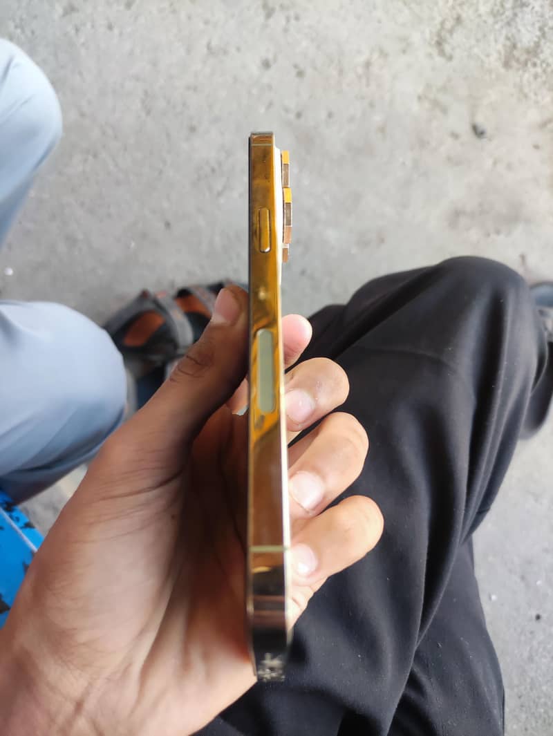 Apple iPhone 14 Pro Max 1