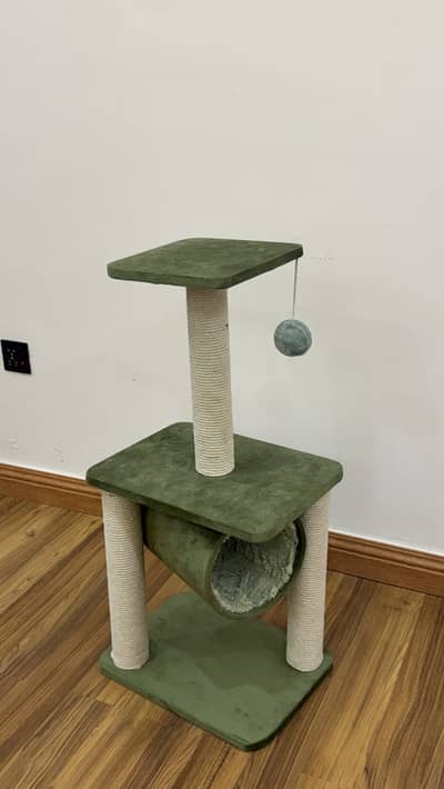 Cat house and scratching post