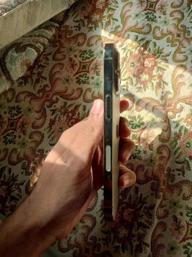 Apple iPhone 13 Pro 1