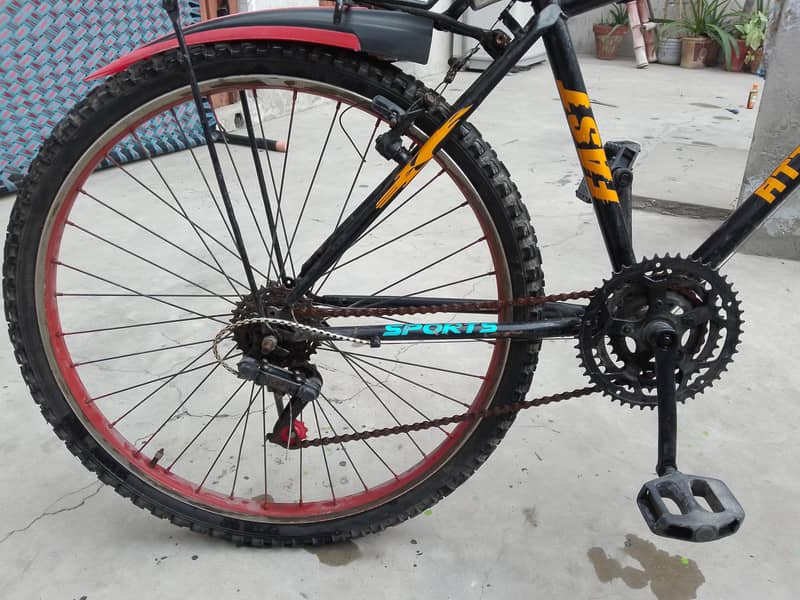cycle 6