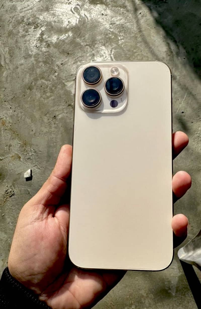 Apple iPhone 16 Pro Max 1
