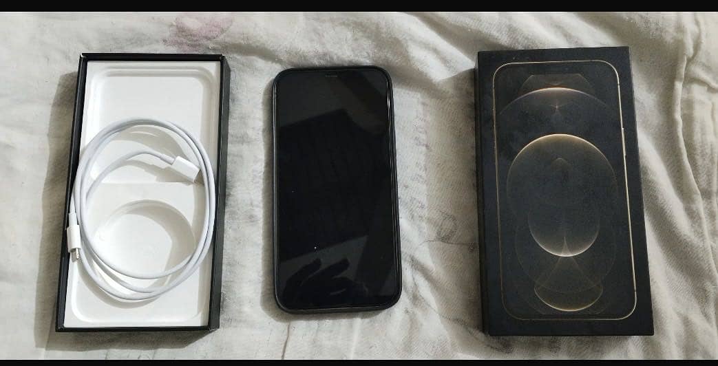 Apple iPhone 12 Pro Max 1
