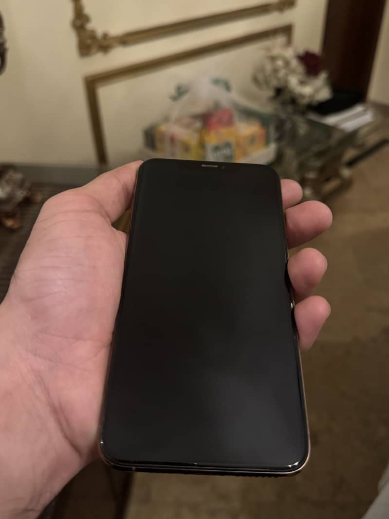 Apple iPhone XS Max 1