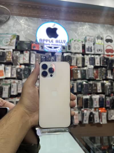Apple iPhone 13 Pro Max