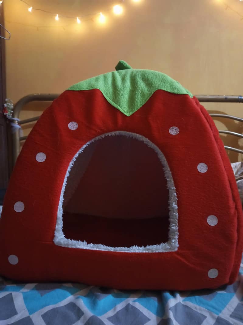 Small Dog/Cat House 0