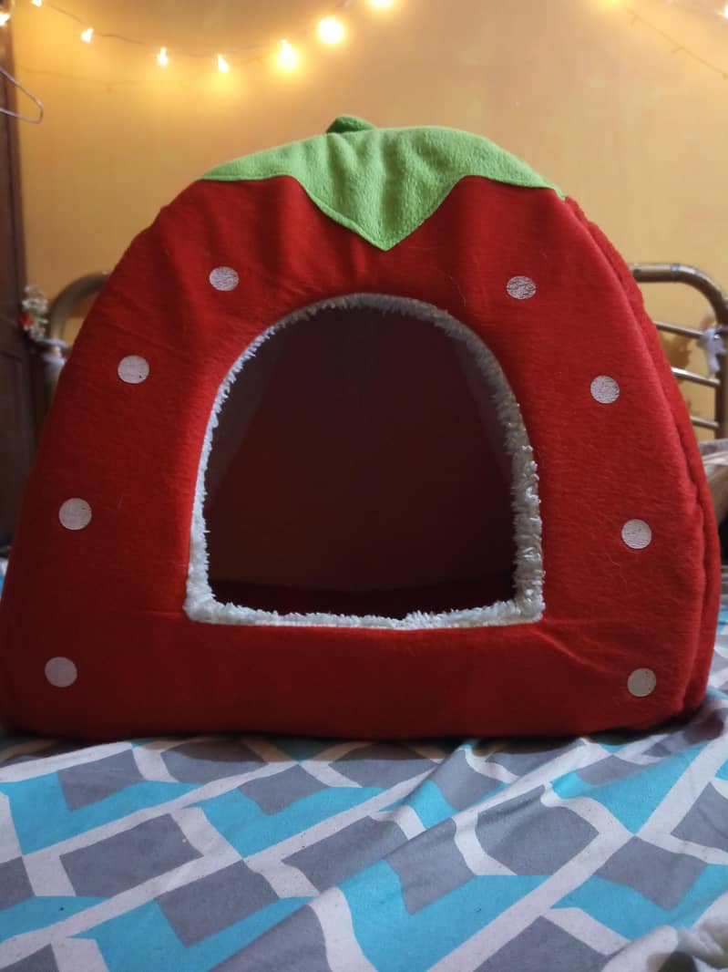 Small Dog/Cat House 1