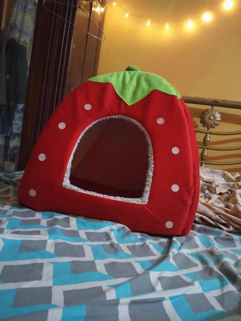 Small Dog/Cat House 2
