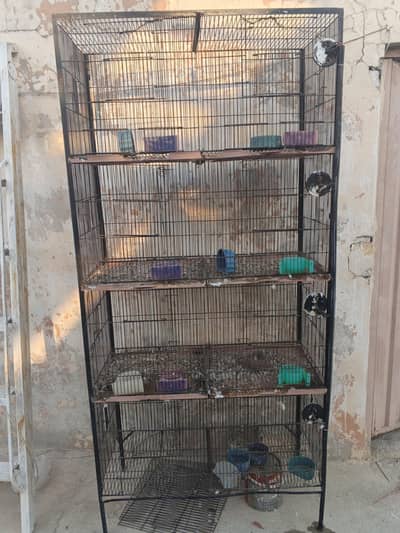 urgent for sale cage