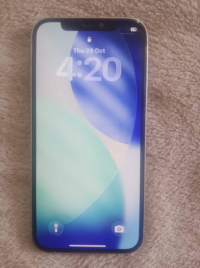 Apple iPhone 12 Pro Max 1