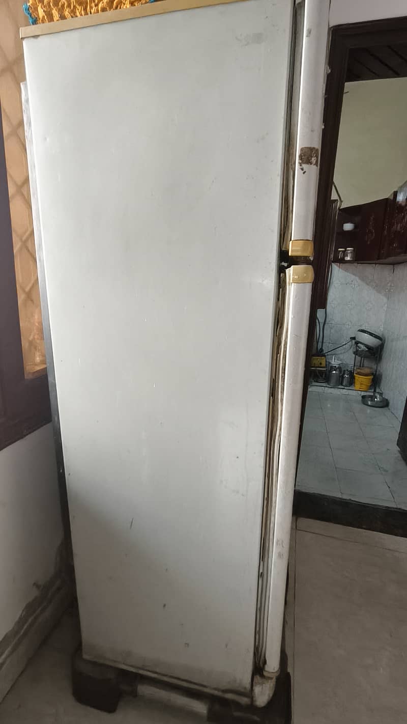 PEL refrigerator 1