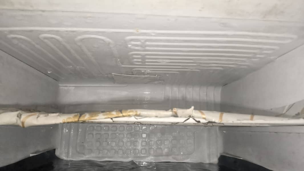 PEL refrigerator 5