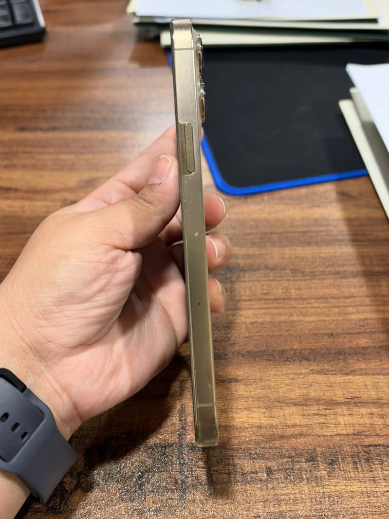 Apple iPhone 13 Pro Max 3