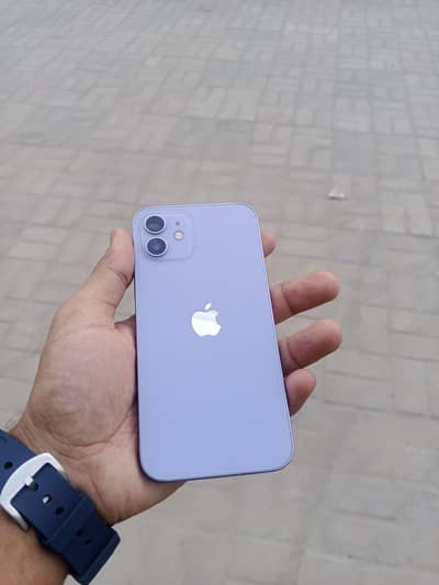 Apple iPhone 12